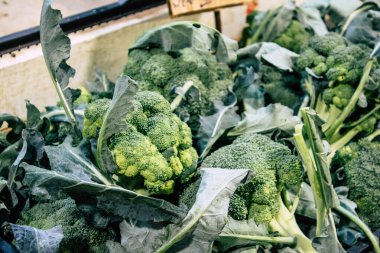 İtalya'nın renkleri