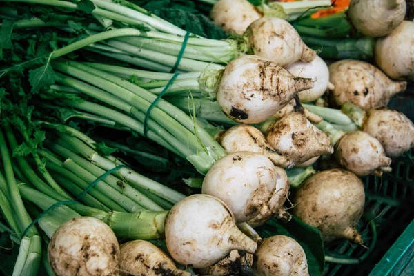 Färger av Italien — Stockfoto