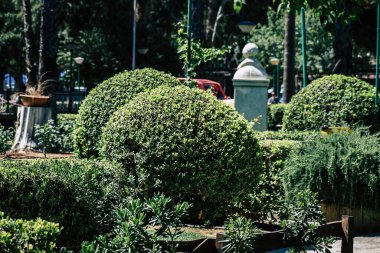 Kıbrıs Rum Kesimi 28 Mayıs 2020 'de Kıbrıs Rum Kesimi' nin Limasol kentinin göbeğindeki sahil caddesinde bulunan belediye kamu bahçesi manzarası
