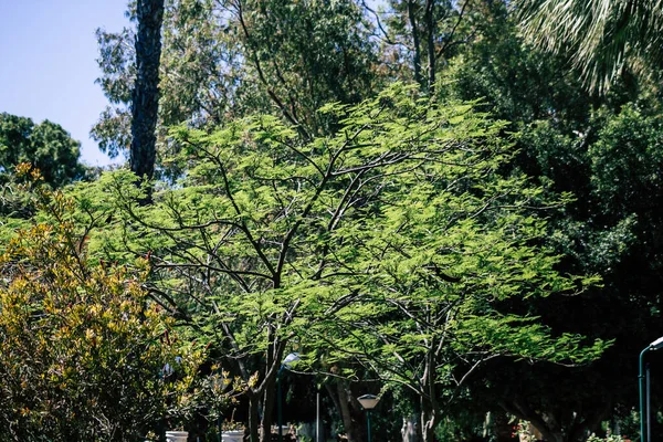 Limassol Cyprus Травня 2020 Вид Міського Публічного Саду Розташованого Узбережжі — стокове фото