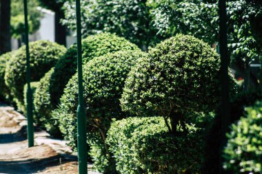 Kıbrıs Rum Kesimi 28 Mayıs 2020 'de Kıbrıs Rum Kesimi' nin Limasol kentinin göbeğindeki sahil caddesinde bulunan belediye kamu bahçesi manzarası