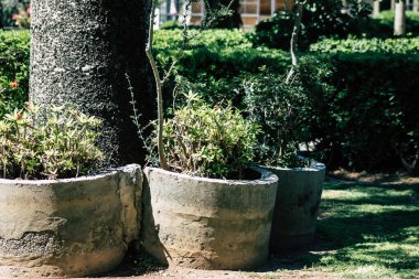 Kıbrıs Rum Kesimi 28 Mayıs 2020 'de Kıbrıs Rum Kesimi' nin Limasol kentinin göbeğindeki sahil caddesinde bulunan belediye kamu bahçesi manzarası