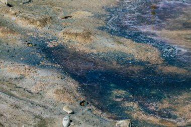 Kıbrıs Rum Kesimi, Kıbrıs Rum Kesimi 'nin en büyük iç su kütlesi olan Limasol Tuz Gölü' nün 3 Haziran 2020 tarihli görüntüsü