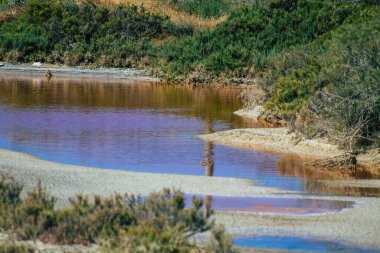 Kıbrıs Rum Kesimi, Kıbrıs Rum Kesimi 'nin en büyük iç su kütlesi olan Limasol Tuz Gölü' nün 3 Haziran 2020 tarihli görüntüsü