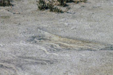 Kıbrıs Rum Kesimi, Kıbrıs Rum Kesimi 'nin en büyük iç su kütlesi olan Limasol Tuz Gölü' nün 3 Haziran 2020 tarihli görüntüsü