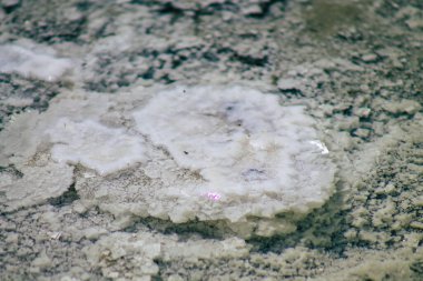 Kıbrıs Rum Kesimi, Kıbrıs Rum Kesimi 'nin en büyük iç su kütlesi olan Limasol Tuz Gölü' nün 3 Haziran 2020 tarihli görüntüsü