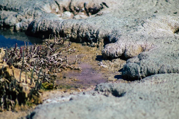 リマソルキプロス2020年6月3日キプロス島最大の内陸水域であるリマソル塩湖の眺め — ストック写真