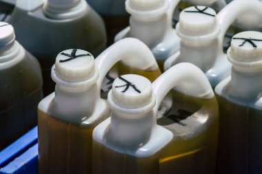 Kıbrıs Rum Kesimi, 06 Haziran 2020 Kıbrıs Rum Kesimi 'ndeki Limasol pazarında satılan taze ekstra bakire zeytinyağı manzarası