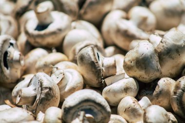 Limasol Kıbrıs Rum Kesimi 06 Haziran 2020 Kıbrıs adasındaki Limasol pazarında satılan çeşitli taze sebzelerin manzarası