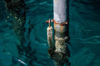 Limasol Kıbrıs 7 Haziran 2020 'de yenilenmiş ahşap iskele uzantıları insanların öğleden sonra Limasol gezinti güvertesinde deniz üzerinde yürümelerine olanak sağlıyor.