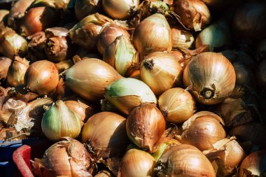 Kıbrıs Rum Kesimi 13 Haziran 2020 'de Kıbrıs adasındaki Limasol pazarında satılan çeşitli sebzelerin manzarası