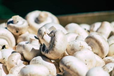 Kıbrıs Rum Kesimi 13 Haziran 2020 'de Kıbrıs adasındaki Limasol pazarında satılan çeşitli sebzelerin manzarası