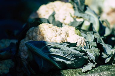 Kıbrıs Rum Kesimi 13 Haziran 2020 'de Kıbrıs adasındaki Limasol pazarında satılan çeşitli sebzelerin manzarası