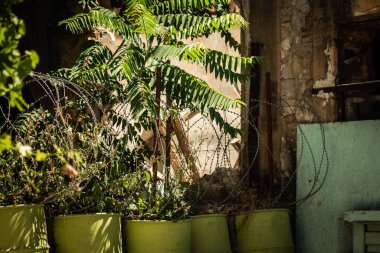 Lefkoşe Kıbrıs 04 Temmuz 2020 Kıbrıs Rum-Türk tampon bölgesinin bölünmüş Kıbrıs Rum Kesimi 'nin başkenti Lefkoşe' deki Birleşmiş Milletler Barış Gücü tarafından kontrol edilmesi