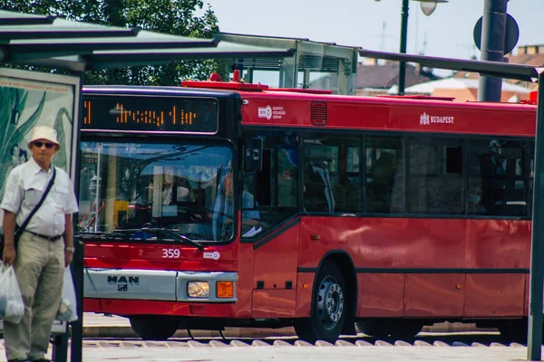 부다페스트 헝가리 July 2020 View Traditional Hungarian Red Trolleybus Travelers — 스톡 사진