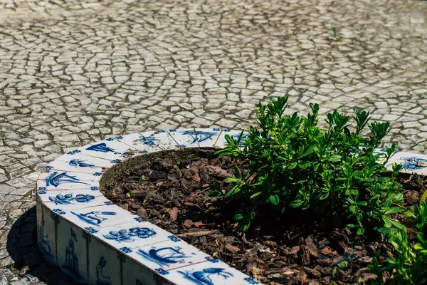 Lisbon Portugal July 2020 View Public Garden Located Downtown Area — Stock Photo, Image