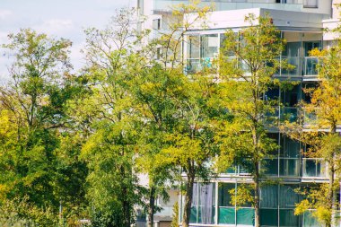 Fransa 'da sonbaharda öğleden sonra ağaçların yeşil yaprak ve dallarının görüntüsü