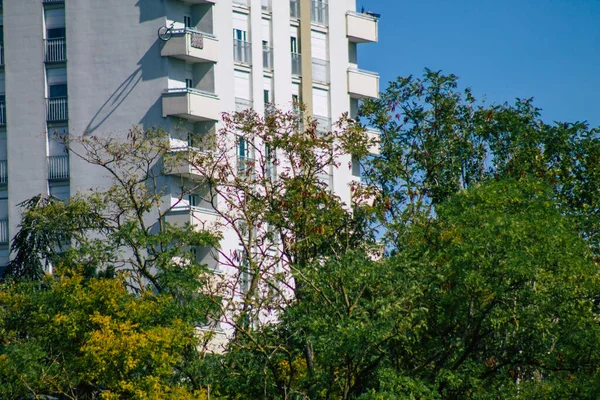 Fransa 'da sonbaharda öğleden sonra ağaçların yeşil yaprak ve dallarının görüntüsü