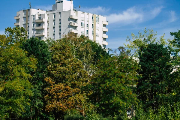 Fransa 'da sonbaharda öğleden sonra ağaçların yeşil yaprak ve dallarının görüntüsü