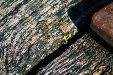 Sonbaharda Fransa 'nın kırsal kesimlerinde bir gölet boyunca uzanan kırsal ahşap bir köprüye yakın.