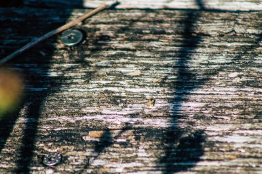 Sonbaharda Fransa 'nın kırsal kesimlerinde bir gölet boyunca uzanan kırsal ahşap bir köprüye yakın.