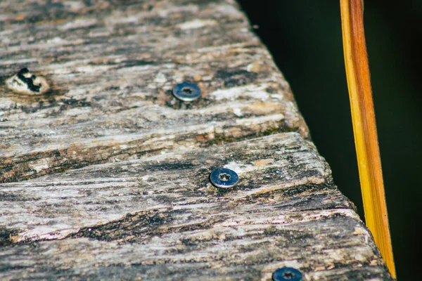 Nahaufnahme Einer Rustikalen Holzbrücke Über Einen Teich Der Französischen Landschaft — Stockfoto