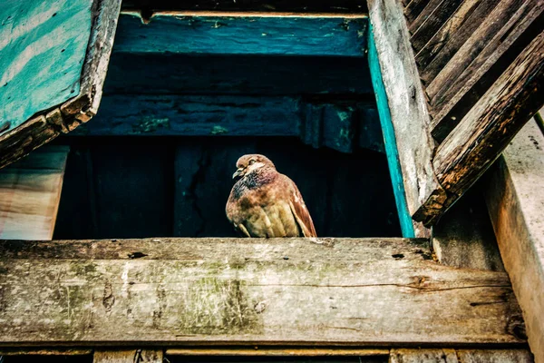 stock image View of the facade of an old house from Nepal