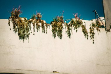 İsrail 'de Tel Aviv sokaklarındaki modern bir binanın dış görünüşü