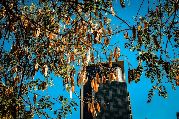Srail Tel Aviv Kentindeki Modern Bir Binanın Dış Görünüşü — Stok fotoğraf