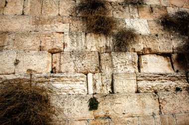 Batı Duvarı 'na yakın olan Ağlama Duvarı, sıklıkla The Kotel olarak kısaltılır. Eski Kudüs şehrinde yer alan Yahudiler için dünyadaki en dindar yerleşim yeridir.
