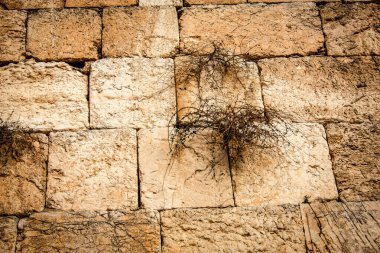 Batı Duvarı 'na yakın olan Ağlama Duvarı, sıklıkla The Kotel olarak kısaltılır. Eski Kudüs şehrinde yer alan Yahudiler için dünyadaki en dindar yerleşim yeridir.