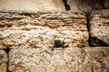Batı Duvarı 'na yakın olan Ağlama Duvarı, sıklıkla The Kotel olarak kısaltılır. Eski Kudüs şehrinde yer alan Yahudiler için dünyadaki en dindar yerleşim yeridir.