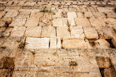 Batı Duvarı 'na yakın olan Ağlama Duvarı, sıklıkla The Kotel olarak kısaltılır. Eski Kudüs şehrinde yer alan Yahudiler için dünyadaki en dindar yerleşim yeridir.