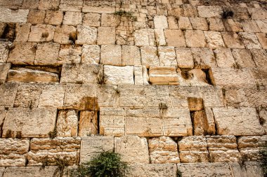 Batı Duvarı 'na yakın olan Ağlama Duvarı, sıklıkla The Kotel olarak kısaltılır. Eski Kudüs şehrinde yer alan Yahudiler için dünyadaki en dindar yerleşim yeridir.