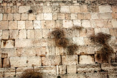 Batı Duvarı 'na yakın olan Ağlama Duvarı, sıklıkla The Kotel olarak kısaltılır. Eski Kudüs şehrinde yer alan Yahudiler için dünyadaki en dindar yerleşim yeridir.
