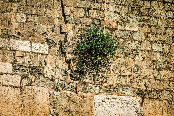 Close up of The Western Wall, Wailing Wall, often shortened to The Kotel is the most religious site in the world for the Jewish people, located in the Old City of Jerusalem