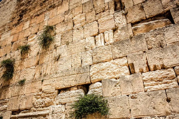 Close Western Wall Wailing Wall Often Shortened Kotel Most Religious — Stock Photo, Image