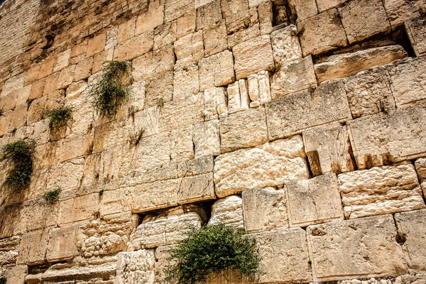 Close Western Wall Wailing Wall Souvent Raccourci Kotel Est Site — Photo