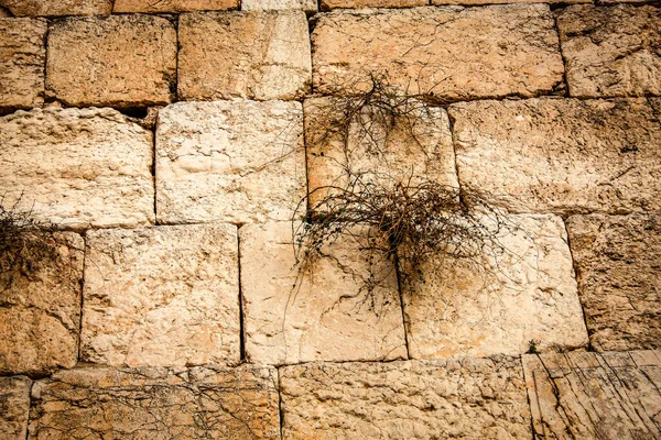 Close Van Western Wall Klaagmuur Vaak Afgekort Tot Kotel Meest — Stockfoto