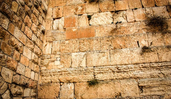 Close Western Wall Wailing Wall Souvent Raccourci Kotel Est Site — Photo