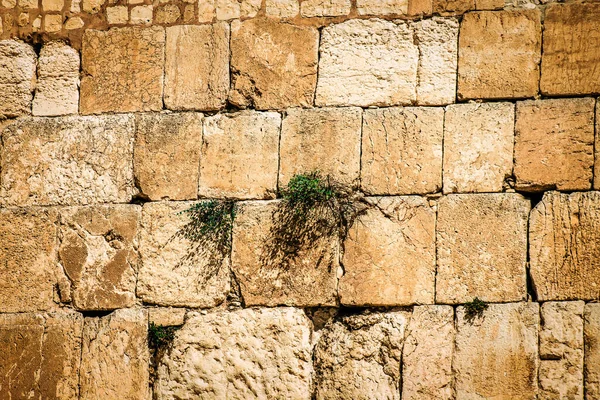 Close Western Wall Wailing Wall Menudo Acortado Kotel Sitio Más — Foto de Stock