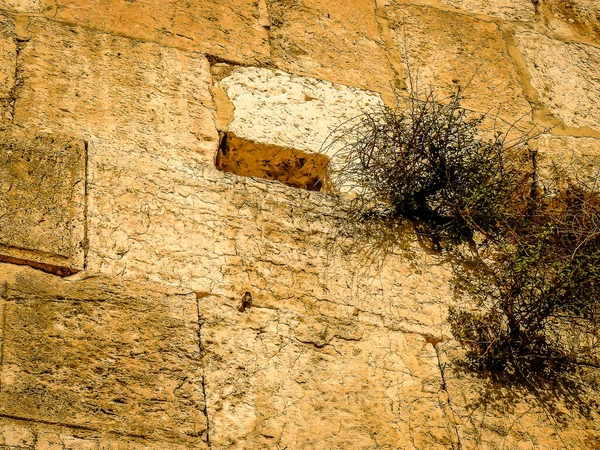 Close Western Wall Wailing Wall Often Shortened Kotel Most Religious — Stock Photo, Image