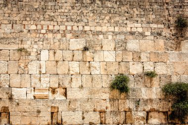 Batı Duvarı 'na yakın olan Ağlama Duvarı, sıklıkla The Kotel olarak kısaltılır. Eski Kudüs şehrinde yer alan Yahudiler için dünyadaki en dindar yerleşim yeridir.