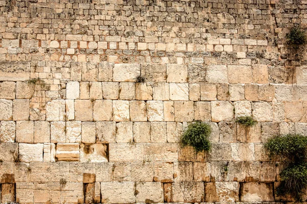 Close Western Wall Wailing Wall Menudo Acortado Kotel Sitio Más — Foto de Stock