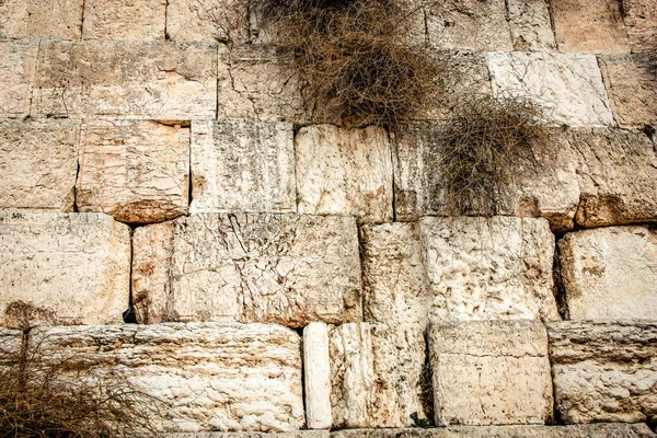 Nahaufnahme Der Westmauer Klagemauer Oft Abgekürzt Kotel Ist Die Religiöseste — Stockfoto