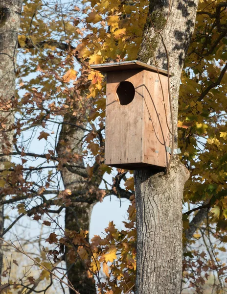 Nesting boxes for owls can be lifted all year long, but now it is likely that owls will be able to settle in this spring.