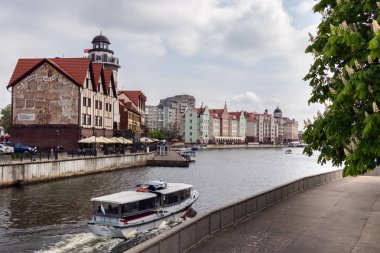 Kaliningrad, Rusya, 12 Mayıs 2019. Yeniden 