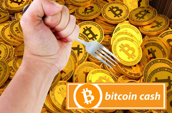 Conceito Bitcoin Cash Hardfork Entre Bitcoin Abc Nchain Developer Criptomoeda — Fotografia de Stock