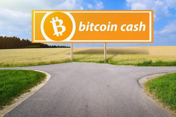 Bitcoin Cash Hardfork Között Bitcoin Abc Nchain Fejlesztő Cryptocurrency — Stock Fotó