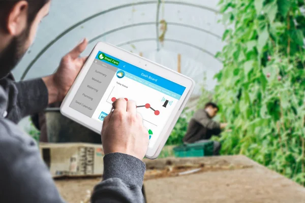 Hand Holding Tablet Monitoring Smart Farming System Greenhouse Agriculture Technology — Stock Photo, Image